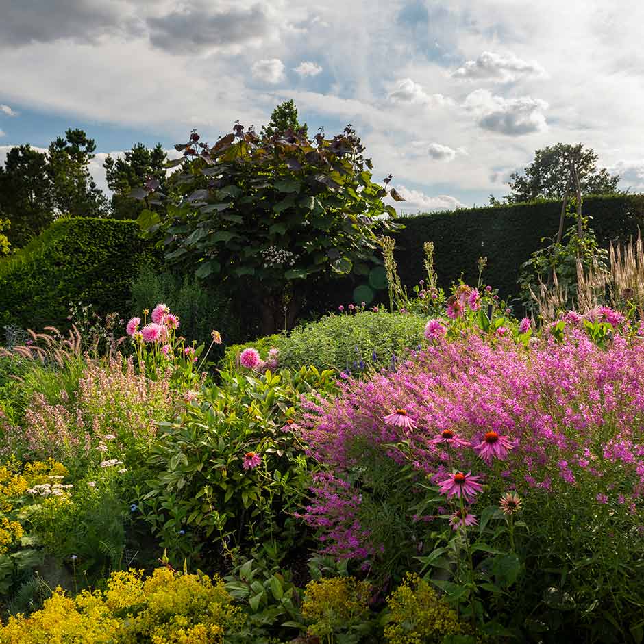 Front Garden Design Ideas and Layouts | RHS Advice