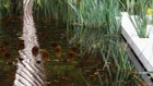 Thumbnail for slide 3