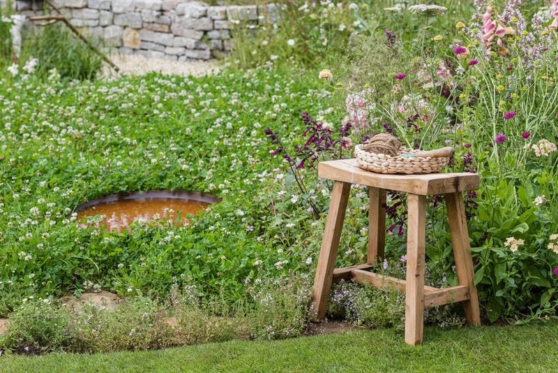 Let your lawn grow wild