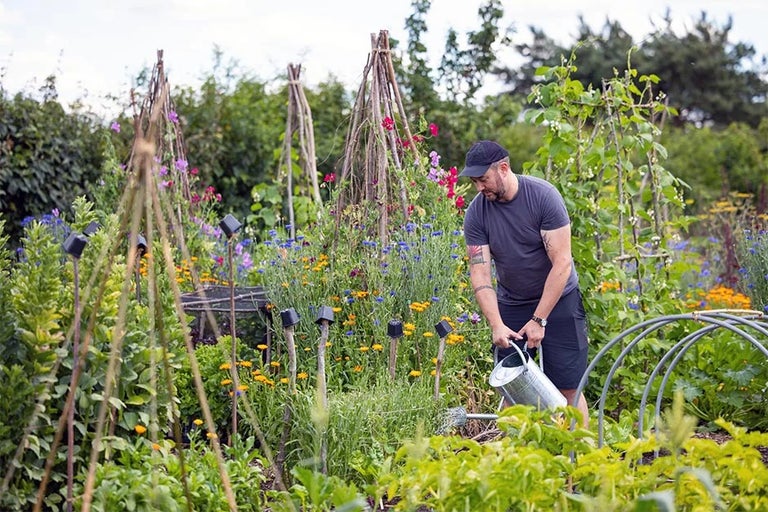 Making the most of your allotment plot