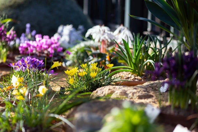 RHS Gardens