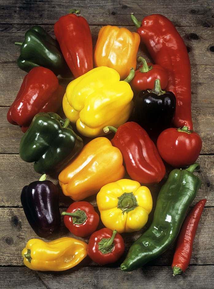 Buy peppers at RHSplants.co.uk