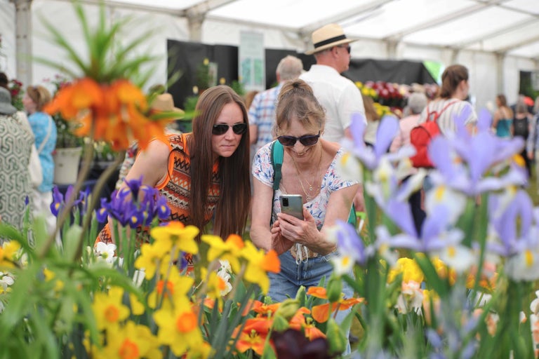 Book tickets to the Festival