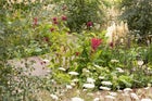 Thumbnail: Mindful Meadowlands