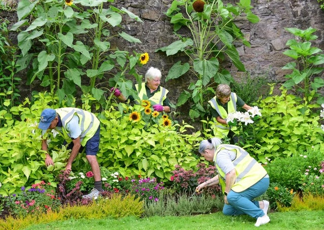 Learn more about community gardening