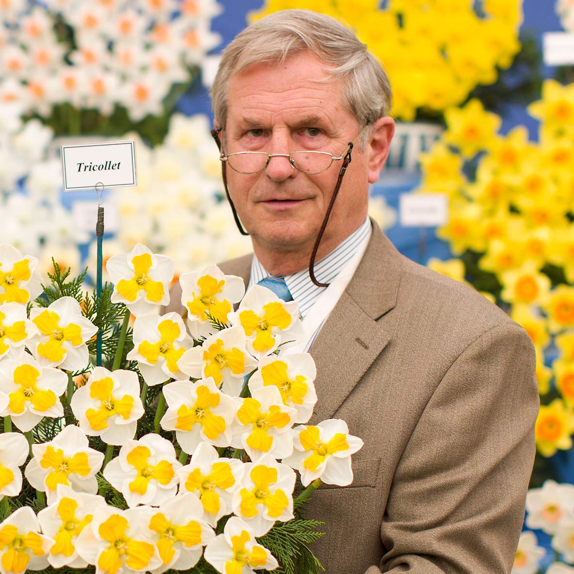 Johnny Walkers’ top tip for ensuring healthy daffodils
