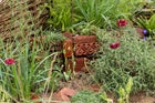 Thumbnail: The Norfolk Weave Border Kind to Soil, Nature and Soul