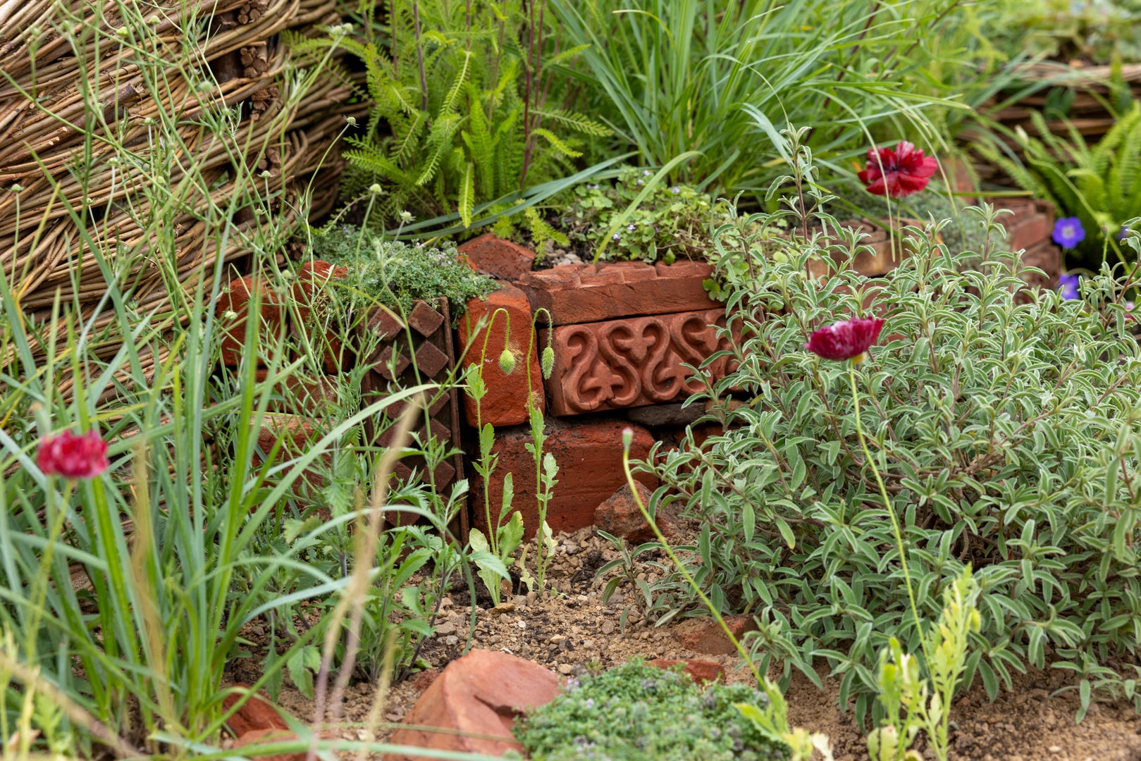 The Norfolk Weave Border Kind to Soil, Nature and Soul