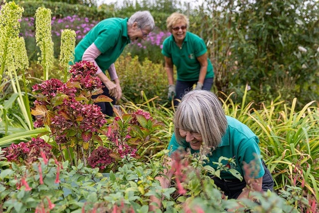 Join a community garden near you