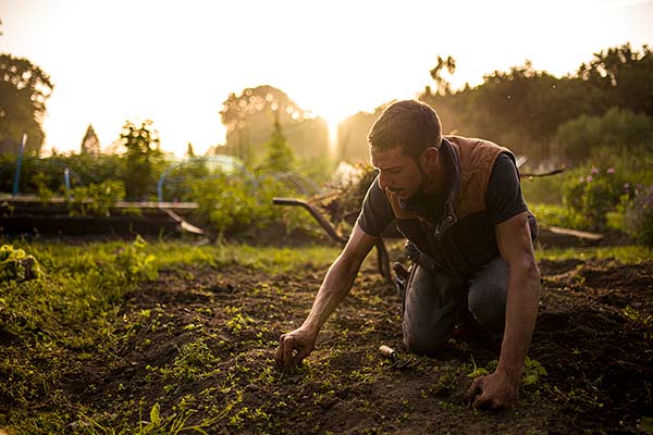 Planet-friendly gardening