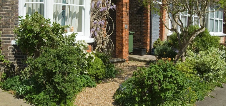 Study finds top 5 ways to provide for pollinators in urban gardens