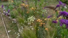 Thumbnail for slide 1