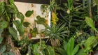 Thumbnail for slide 4