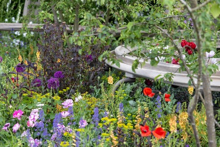 See all the gardens at the show