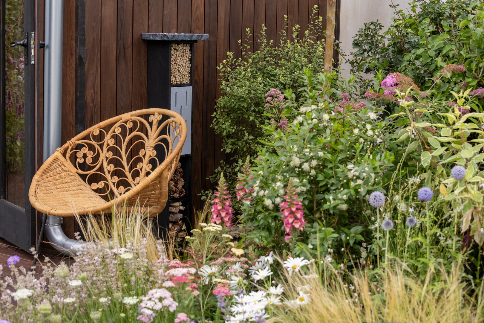 Butterfly Sanctuary Garden