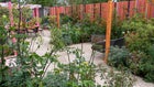 Thumbnail for slide 2