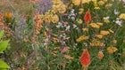 Thumbnail for slide 4