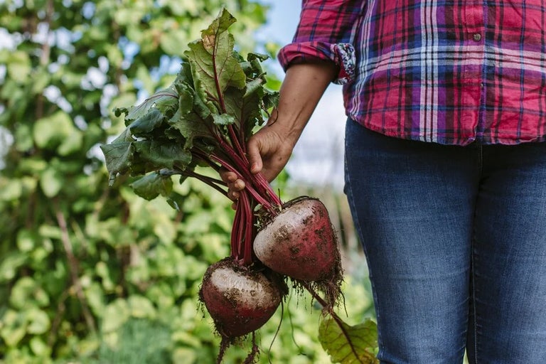 How to go peat-free