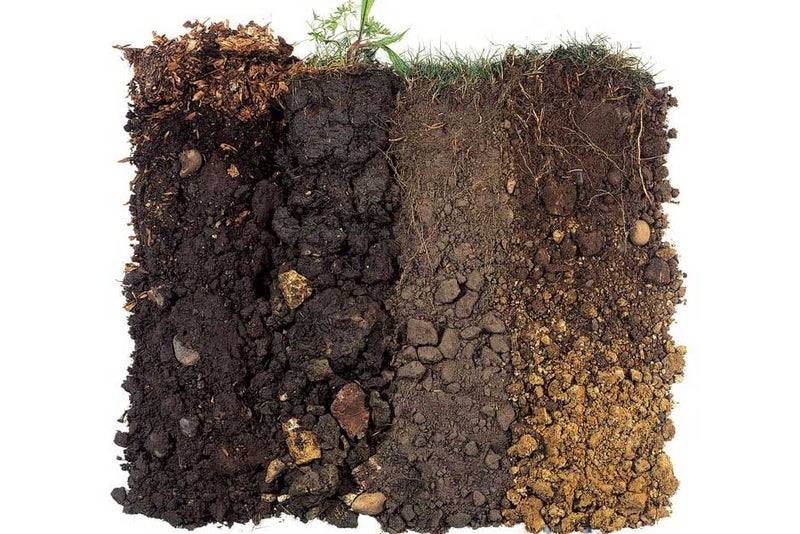 Get to know your soil