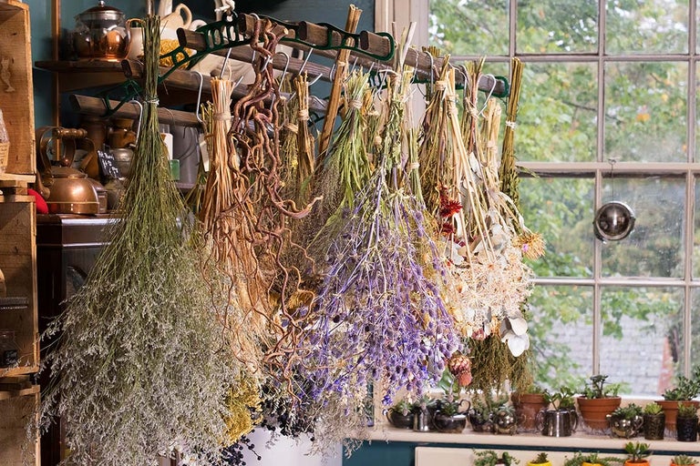 How to dry flowers and foliage