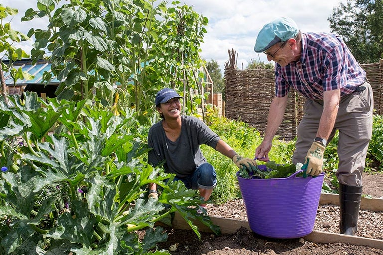Community Gardening - get involved