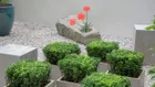 Thumbnail for slide 4