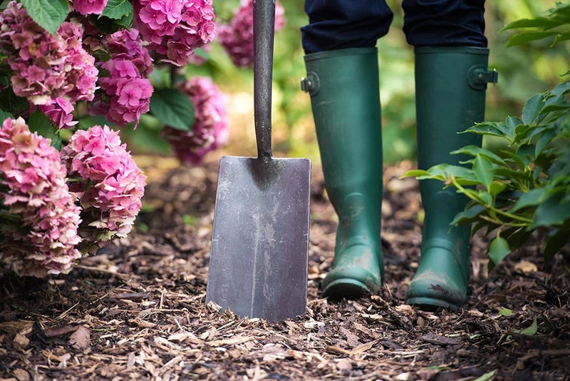 1. Green up your outside space