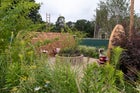 Thumbnail: RNIB Talking Books Garden