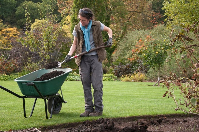 How to care for your soil