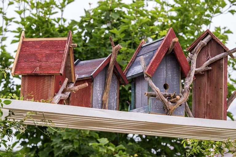 Wild About Gardens newsletter