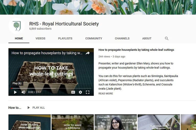 Videos