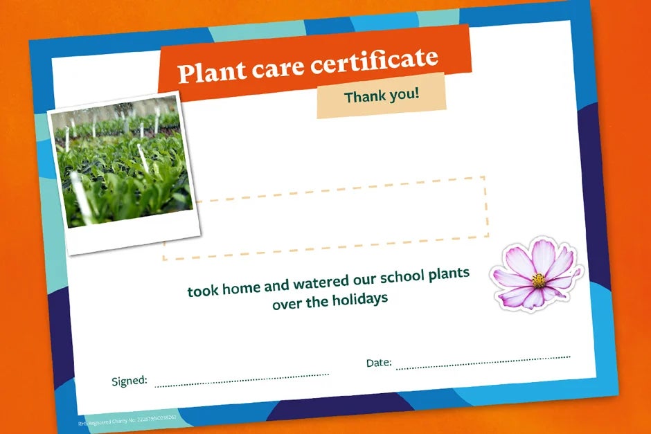 School watering certificate