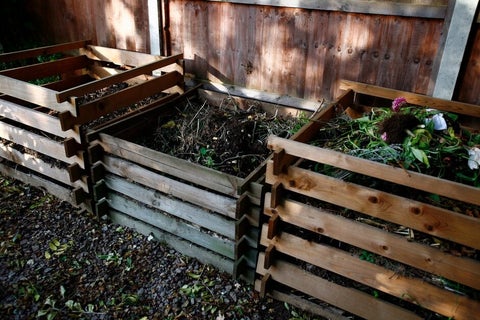 How to reuse spent compost | RHS Advice