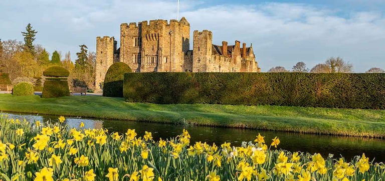 Daffodil days at RHS Partner Gardens