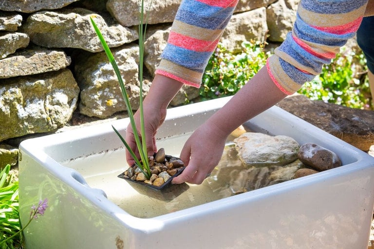 How to make a wildlife container pond