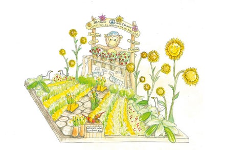 A drawing of a garden