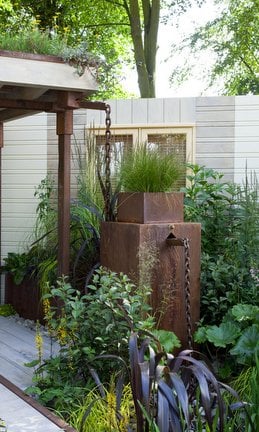 RHS guide to rain gardens