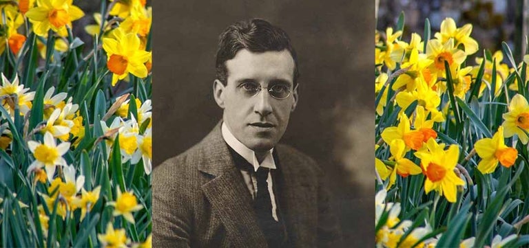 The man who ‘saved’ the daffodil