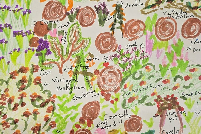 See the RHS Allotments and School Borders