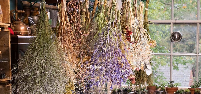 How to dry flowers and foliage