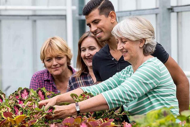 Courses and workshops