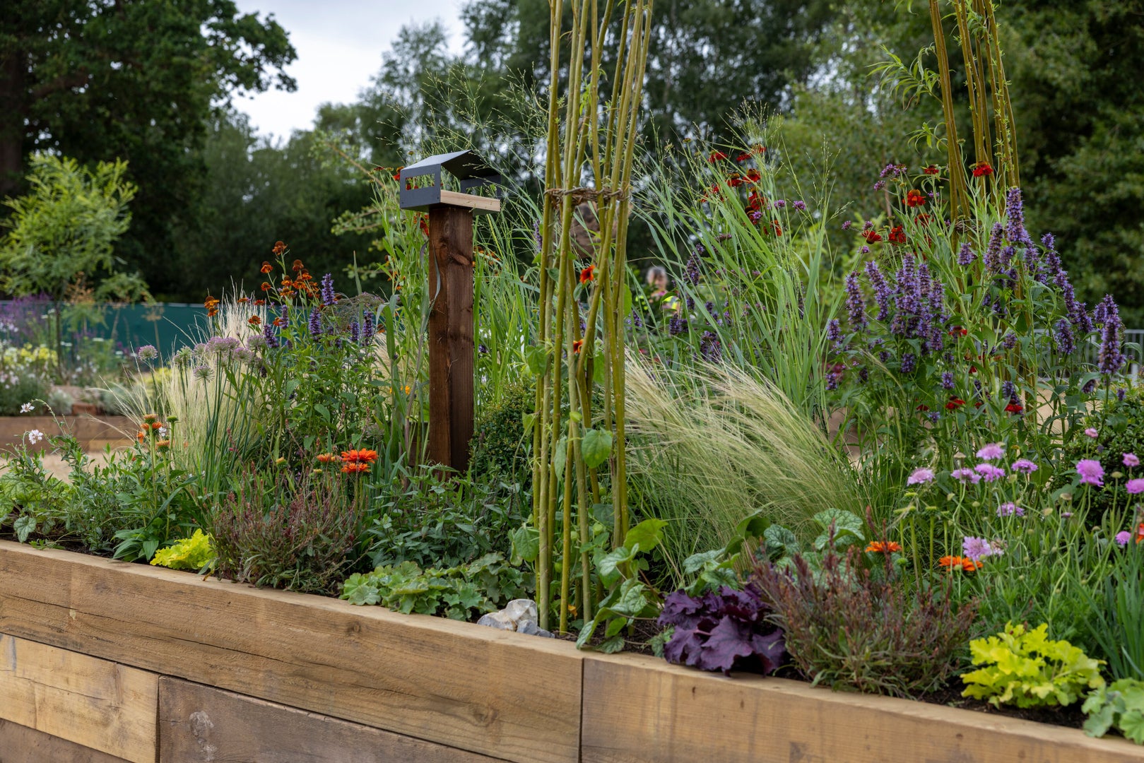 From Plot To Habitat