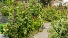 Thumbnail for slide 3