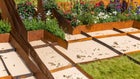 Thumbnail for slide 5