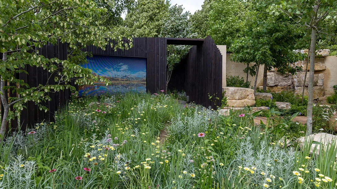 A garden with a painting on the wall
