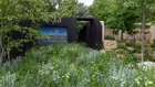Thumbnail: A garden with a painting on the wall