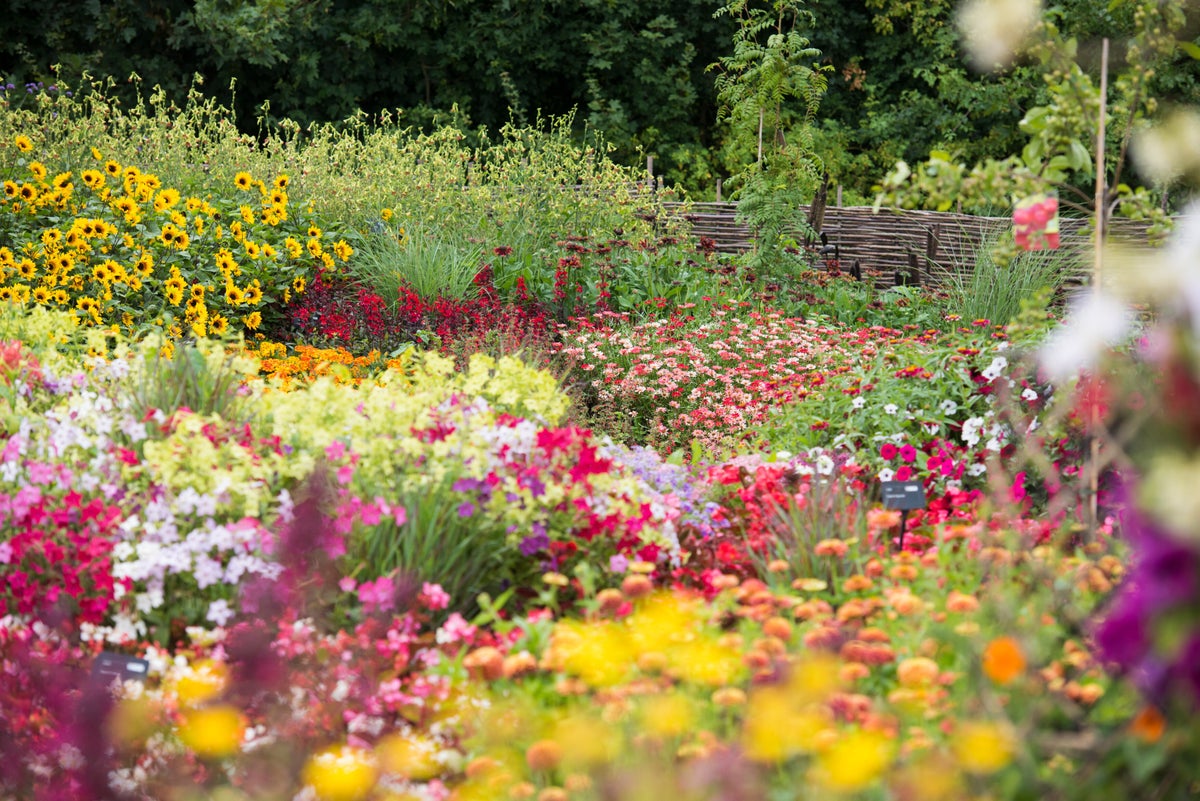 Floral Fantasia at RHS Hyde Hall