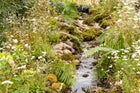 Thumbnail: Mindful Meadowlands