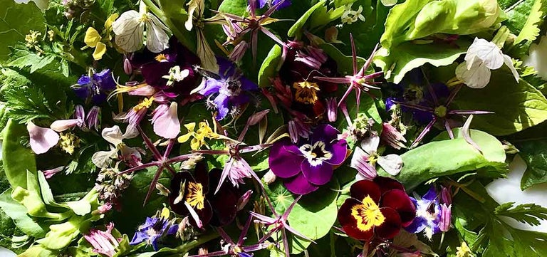 How to use, preserve and enjoy edible flowers