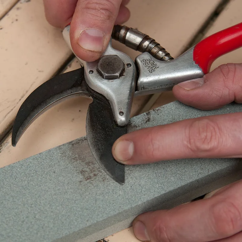 Sharpened Hand Tools Sharpening Hand Tools | RHS Advice